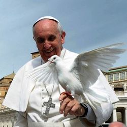 papież Franciszek